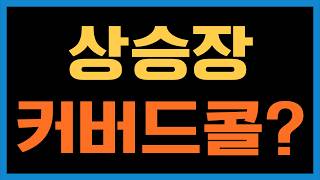 이런 상승장에 ROCQ나 SGOV를 들고 있으면 손해일까요?