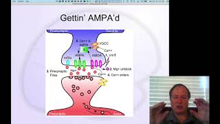 GenPsych Course 2020, Learning 1: Overview and Synaptic Plasticity