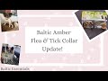 Cat&#39;s Canines ~ Baltic Amber flea &amp; Tick collar update