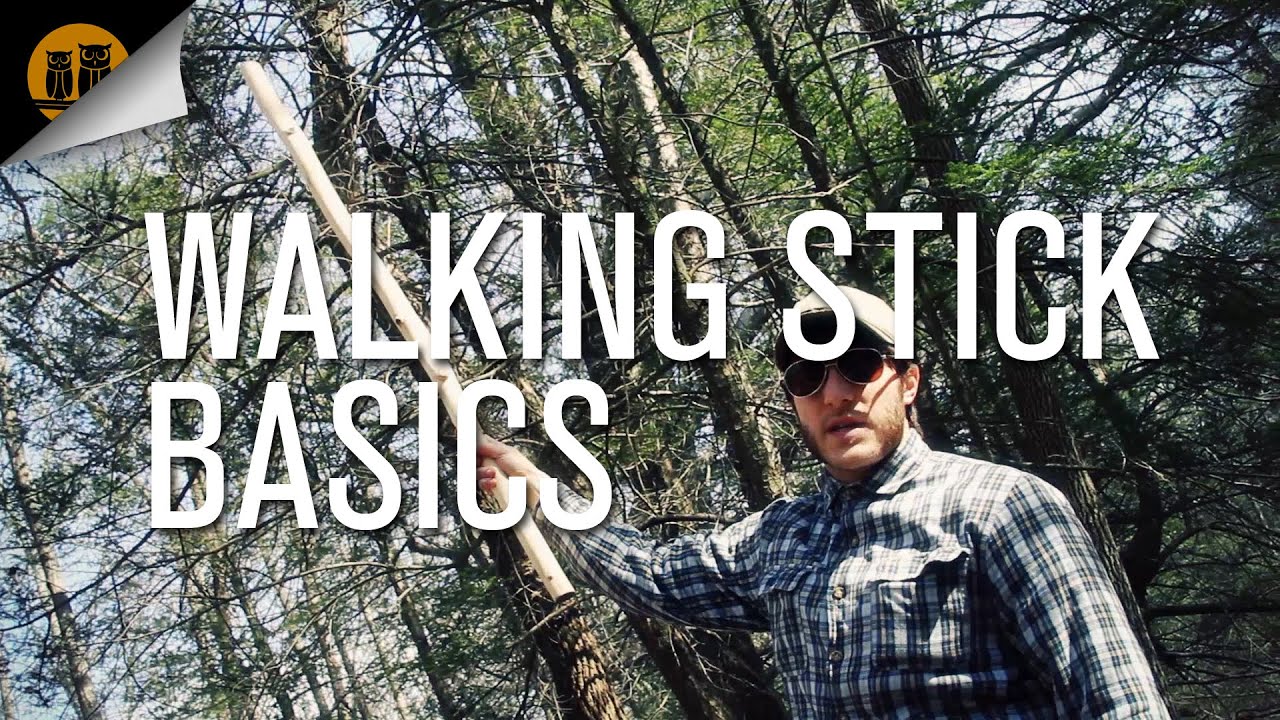 Walking Stick Basics - YouTube