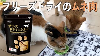 高級品！フリーズドライのムネ肉は、みんな大好物です。なんぼあっても困りませんから。