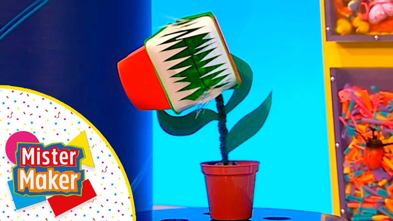 PLANTA carnívora 🍃| MISTER MAKER em PORTUGUÊS