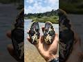 This Lightning Plume Agate with Rainbow Obsidian Was Found Beside a Crystal Clear River ⚡🌈