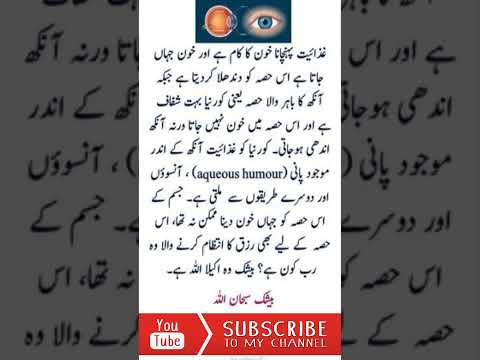 Allah ki Qudrat - 126 !! اللہ رب العزت کی قدرت !!