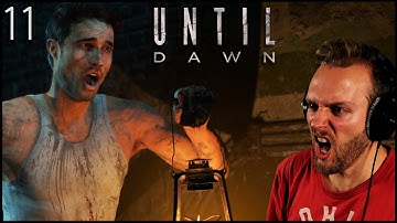 Wolf Jump Scare | Let