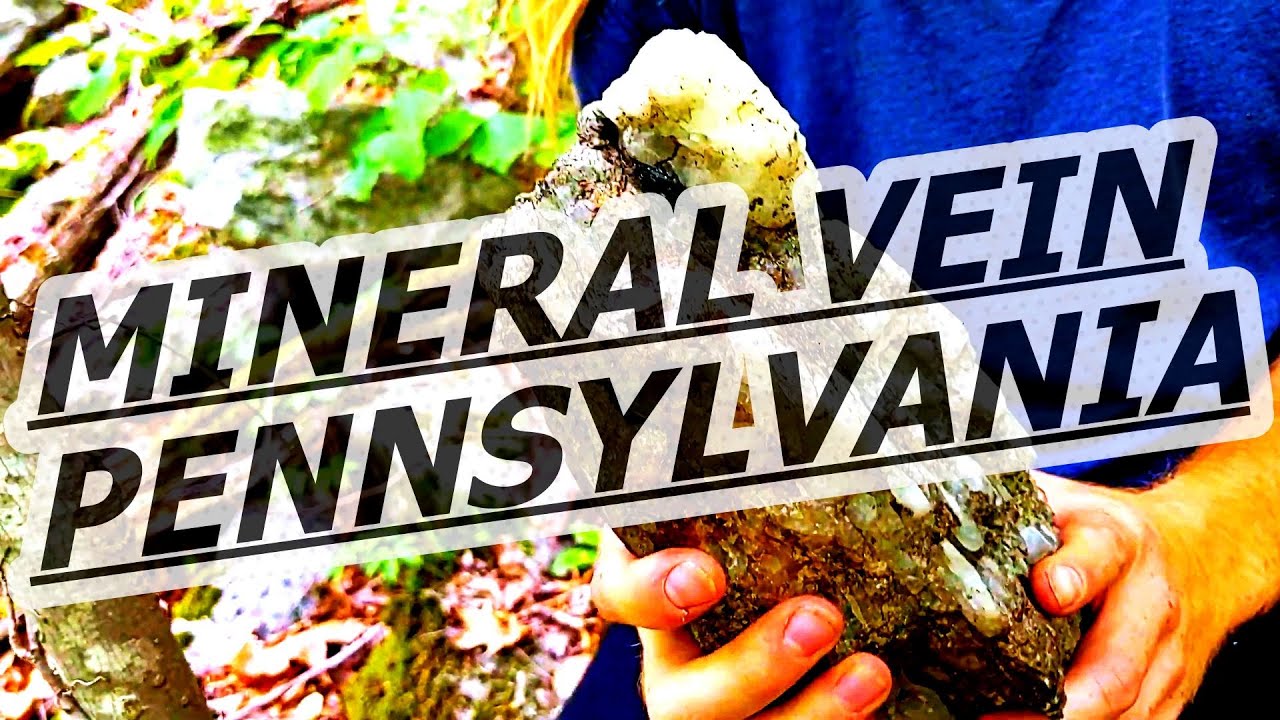 Wild White Quartz harvest | Brandywine Boys