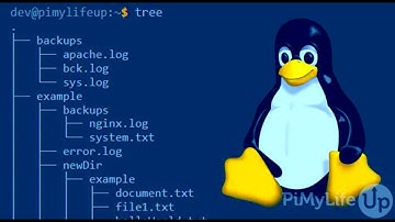 MoreInfo - Part 16 - Linux see directory tree structure using tree command - New Video 2023