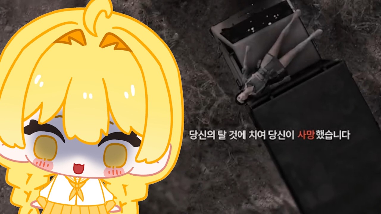 [배틀그라운드] 18세.앤연의.마지막.끌어박기