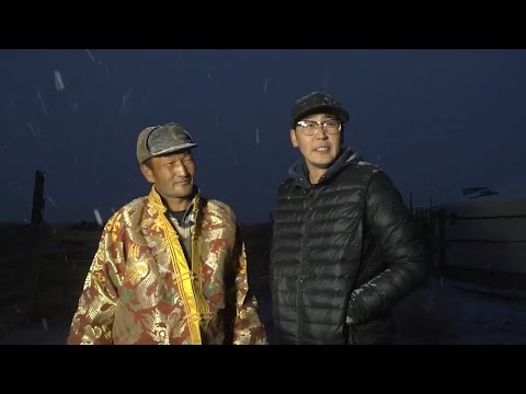 НИЙСЛЭЛ ХҮҮ- 17/01/06