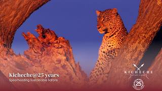 Kicheche@25 years - Spearheading Sustainable Safaris