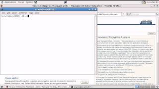 Schnell und einfach Oracle Transparent Data Encryption einrichten