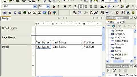 Crystal Reports Tutorial Formatting Report Objects Business Objects Training Lesson 5.1