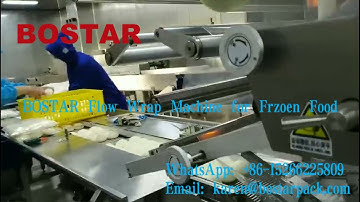 Automatic packing machine for frozen food