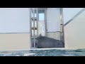 【セイウチ】おもちゃが気になるけど取れないいちこちゃん@鳥羽水族館