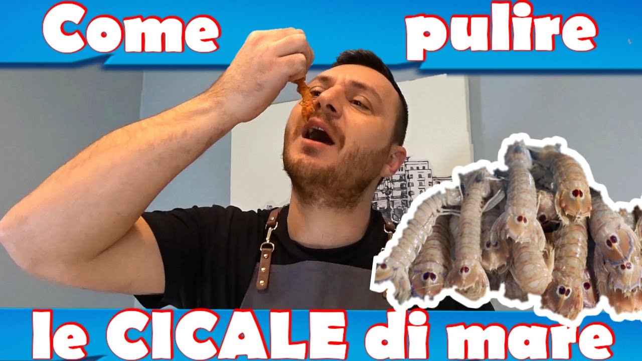 come pulire le CICALE DI MARE o canocchie, e CUCINARLE!!! YouTube come pulire le CICALE DI MARE o canocchie, e CUCINARLE!!! YouTube