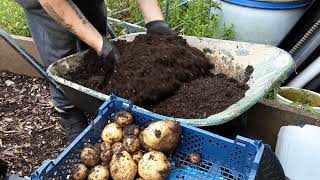 How Do I Know What Ratio To Mix My Concentrate and Steeped Comfrey 🌻 Fruit & Vegetable Harvest screenshot 1