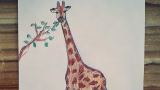 Easy giraffe drawing / Animal drawing 🦒 / Kolay zürafa çizimi / Zürafa nasıl çizilir / Hayvan çizimi