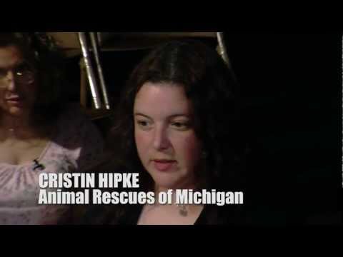 DOGS of DETROIT An Open Forum PART 2 from the documentary project American Strays - DOGS of DETROIT An Open Forum PART 2 from the documentary project American Strays