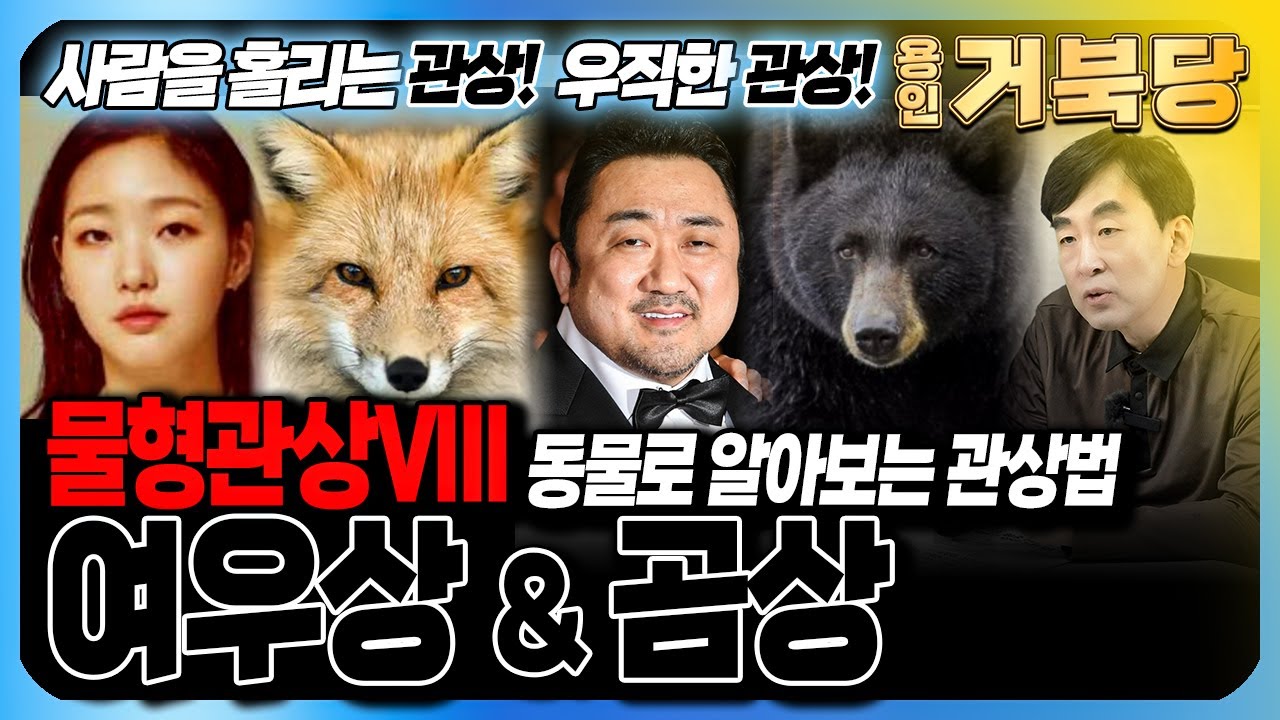 물형관상VIII 🦊여우상 & 곰상🐻 동물로 알아보는 관상법📔 사람을 홀리는 관상! 우직한 성품의 관상! - YouTube