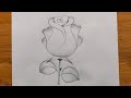 Beautiful Rose drawing easily 