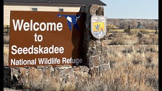 SEEDSKADEE NATIONAL WILDLIFE REFUGE, WY