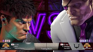 LegendBattle Ryu(185th) vs Sagat(8th) - BattleFrame