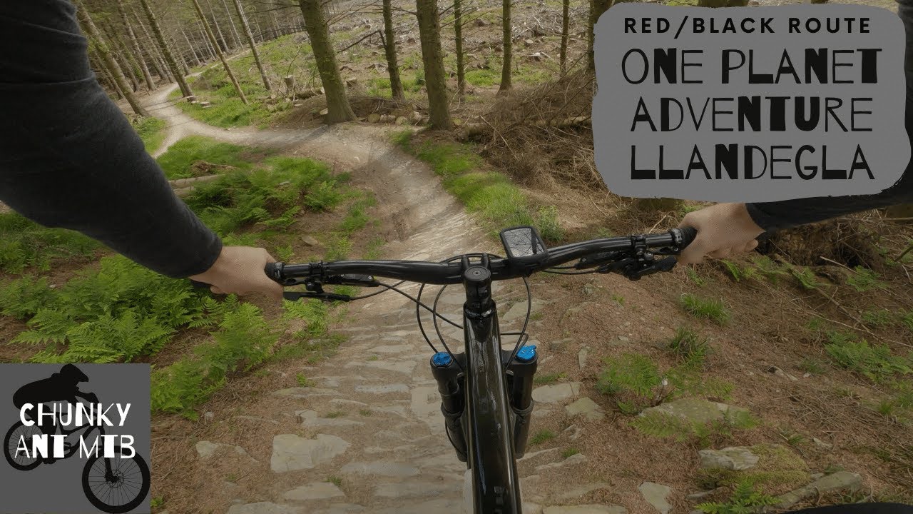 North Wales MTB One Adventure Llandegla Red and Black lines
