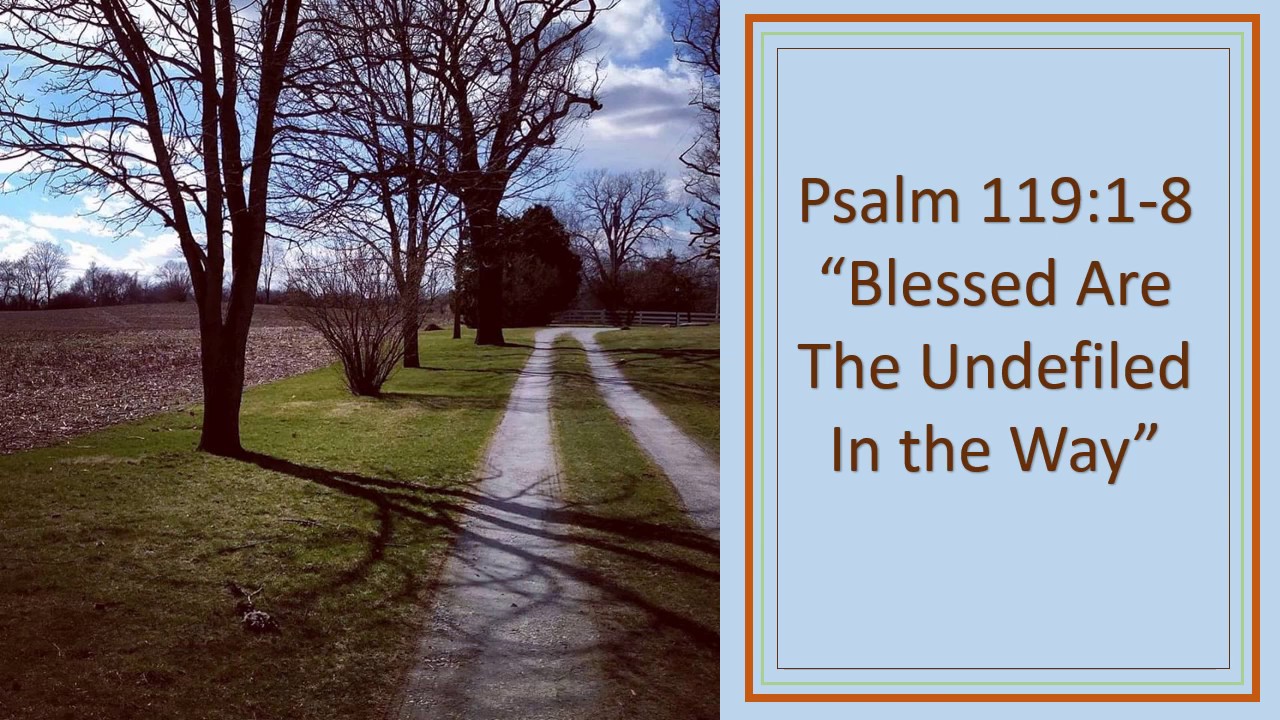 Psalm 119:1-8, Blessed are the undefiled in the way,KJV singalong w ...
