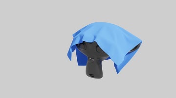 Cloth Simulation on Monkey