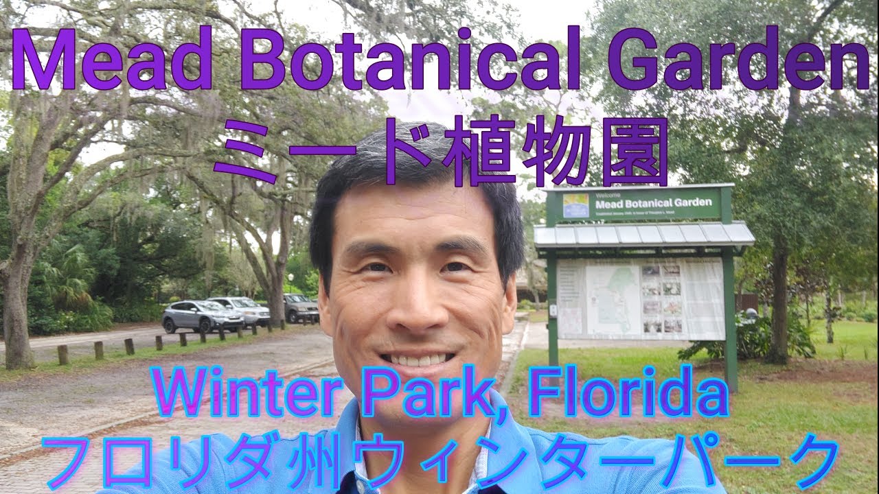 Mead Botanical Garden in Winter Park, Florida. ミード植物園、フロリダ州ウィンターパーク