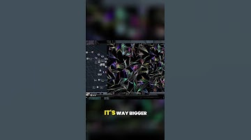 Mastering Voxels: Algorithms & Visuals