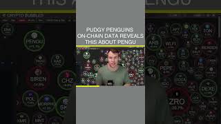 Pudgy Penguins ⚠️ On-Chain Data Reveals This About Pengu