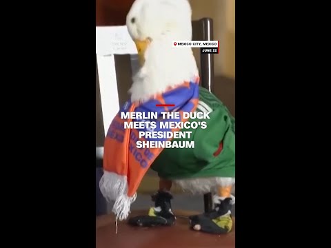 Merlin the duck meets Mexico's President Sheinbaum