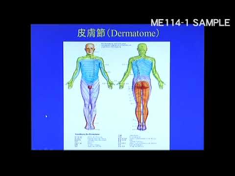 ME114-1 Myotuning Approach MTA概論 SAMPLE MOVIE - YouTube
