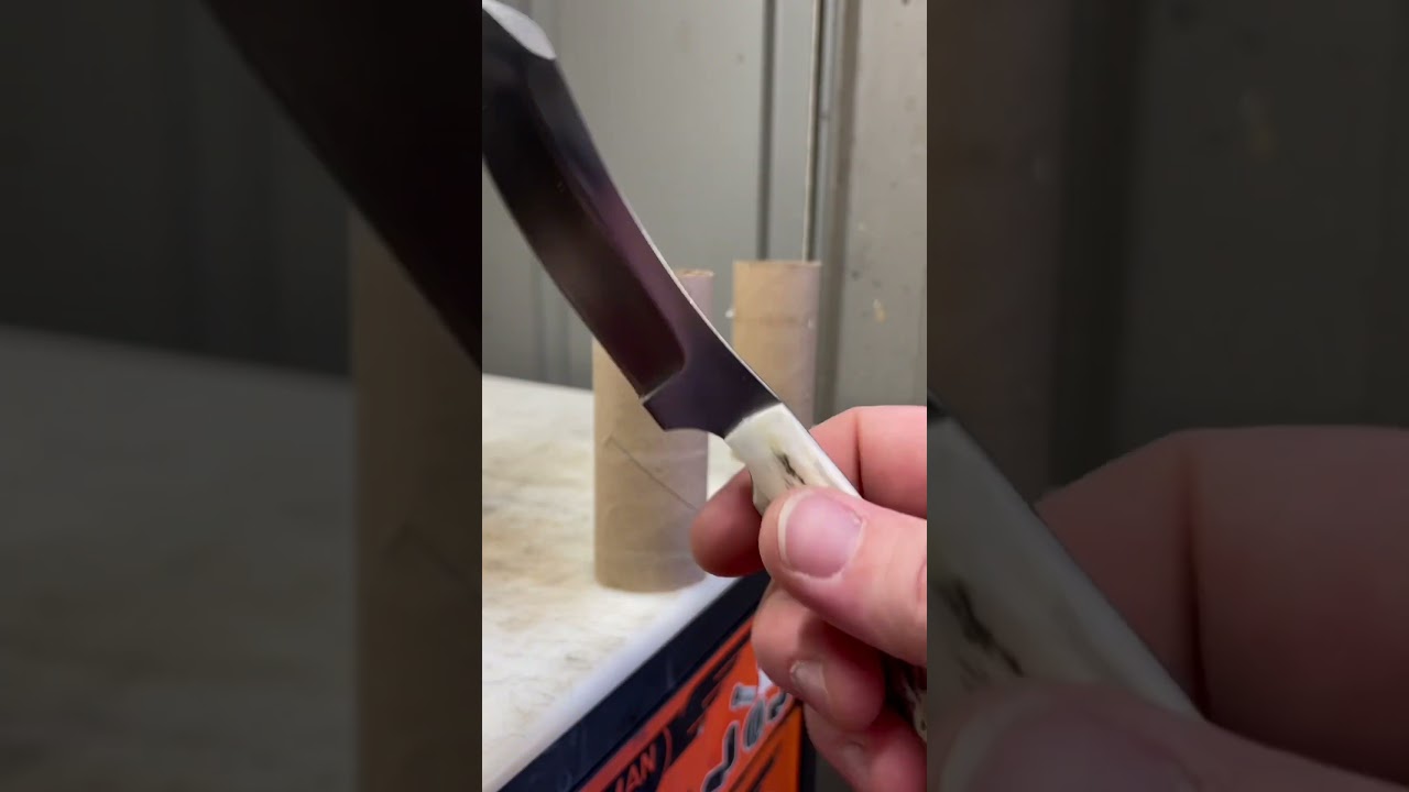 Silver Stag bullnose slab in D2 