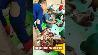 kesibukan Panitia Qurban