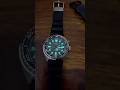 Seiko Prospex Kinetic Tuna lume shot