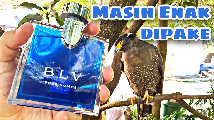 Bvlgari BLV Pour Homme Cologne Eau De Toilette for Men Review, Everfumed