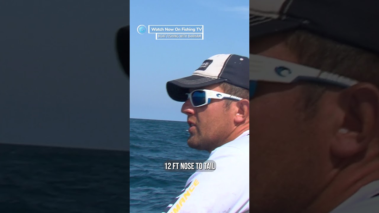 2 British record sharks in 4 days! - ‘Boat Fishing with Barham’ on Fishing TV