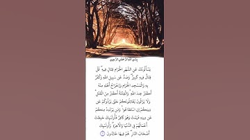 الآية/ 217/من سورة: البقرة القارئ: فارس عباد