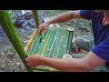 Survival instinct - Making bamboo tables and chairs with primitive technology