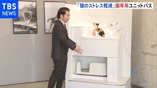 今日はネコの日 猫専用ユニットバス発表