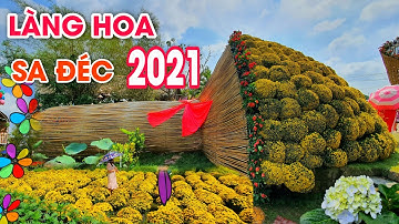 LÀNG HOA SA ĐÉC 2021 - khám phá bó hoa cúc mâm xôi khổng lồ chuẩn bị hoa tết 2021 - cần thơ 365