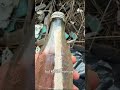 Message from "captive" found in bottle on NJ beach | NBC New York