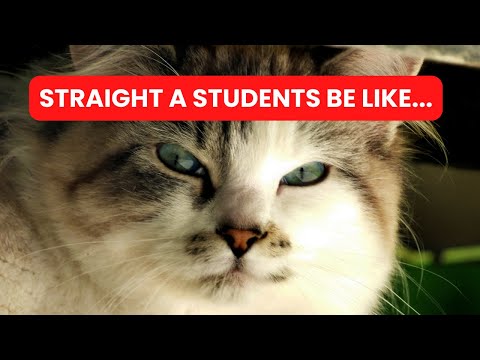 SECRETS Straight A Students Don't Tell You | Part 4
