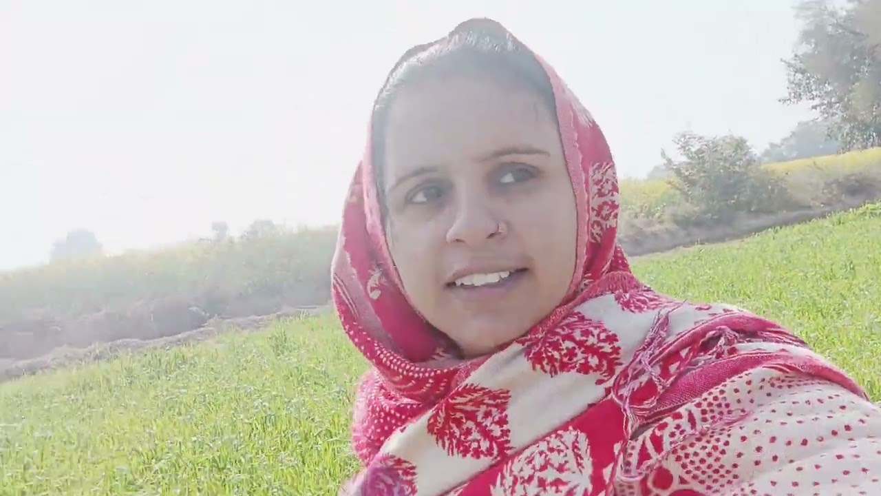 बहुत दिनों बाद गए खेत में