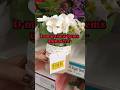 D-mart Finds New Kitchen items | D-mart Clearance Sale Offers | D-mart Affordable Finds #dmart