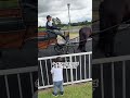 中山競馬場に子連れで行ってきたよー【兄2歳6ヶ月、弟4ヶ月】#赤ちゃん #幼児 #馬 #中山競馬場