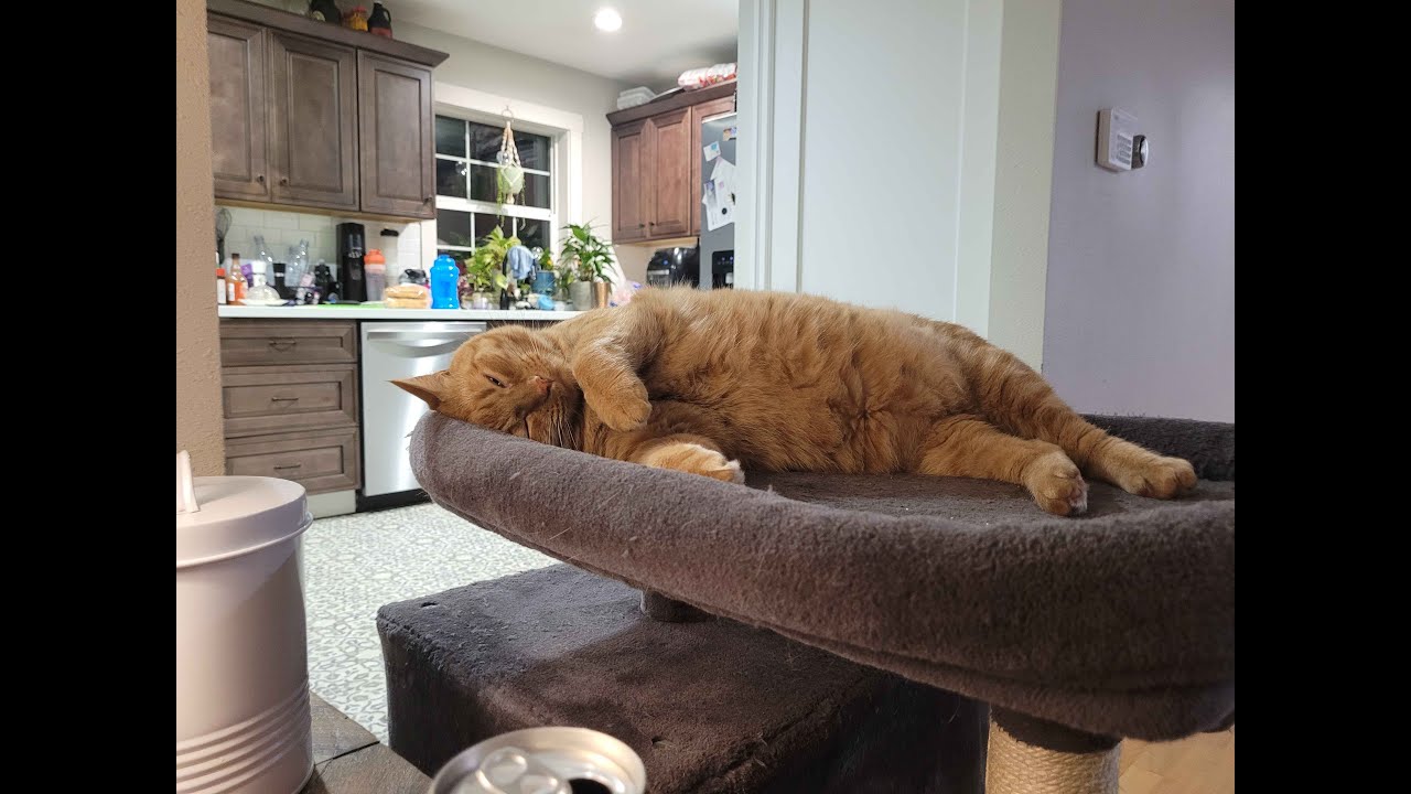 Warthunder air sim mouse and keyboard #simteam