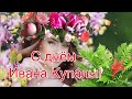 С Днём Ивана Купалы! Красивое Поздравление с Днём Ивана Купала! Сергей Чекалин! Музыкальная Открытка